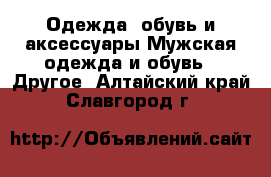 Одежда, обувь и аксессуары Мужская одежда и обувь - Другое. Алтайский край,Славгород г.